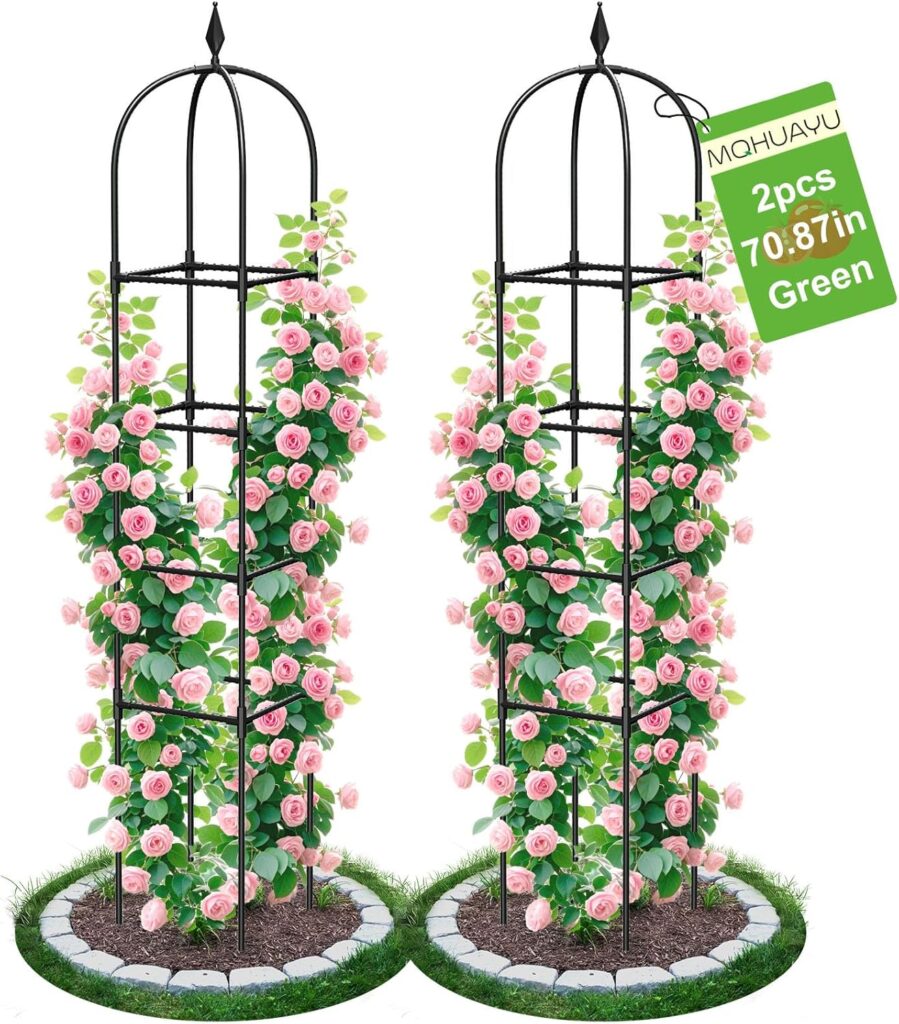 garden obelisk trellis 2 pack for climbing plants