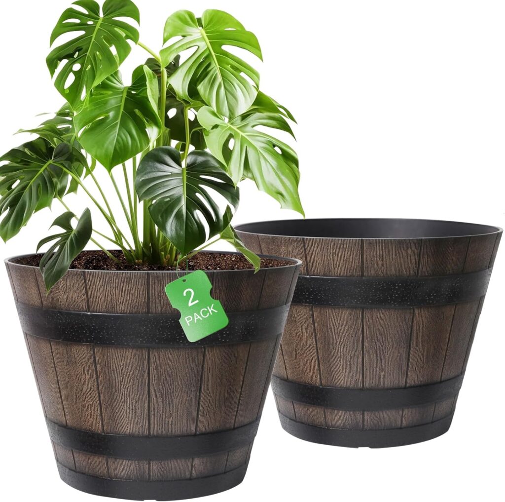 whiskey barrel planters for container roses