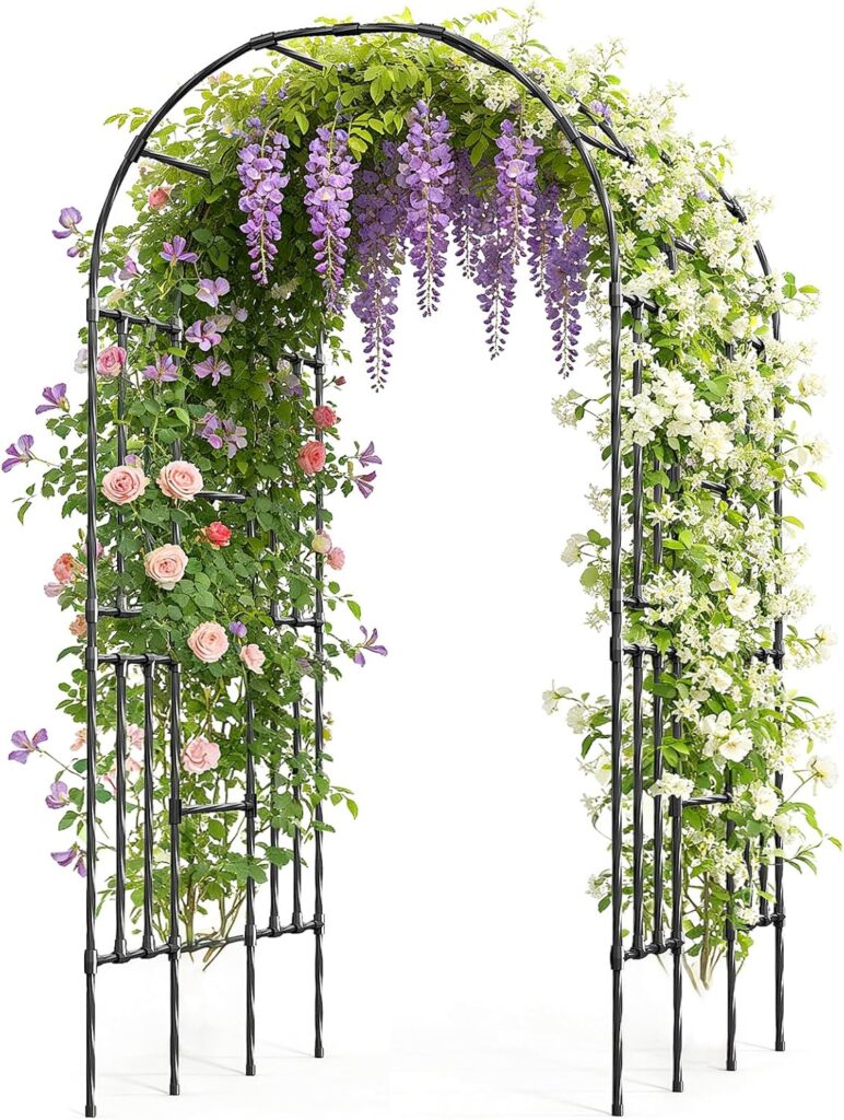 walkable garden arch trellis for climbing roses