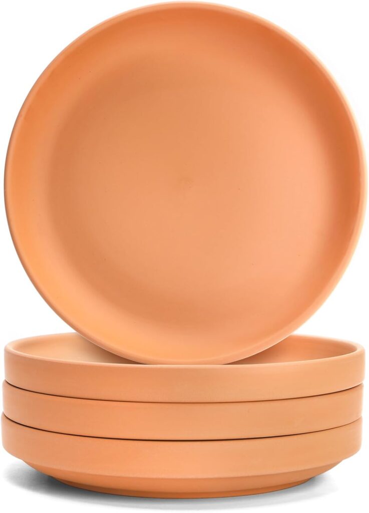  Terracotta Plant Saucer pots tray