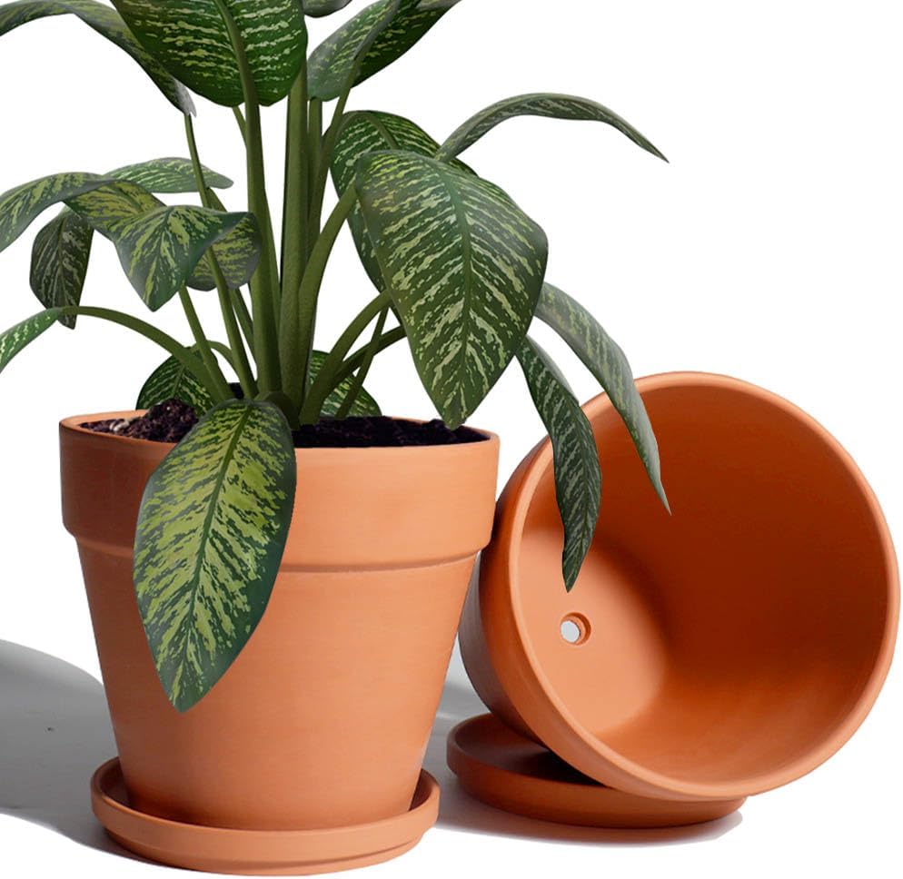 8 inch clay pot for plant with saucer terracotta