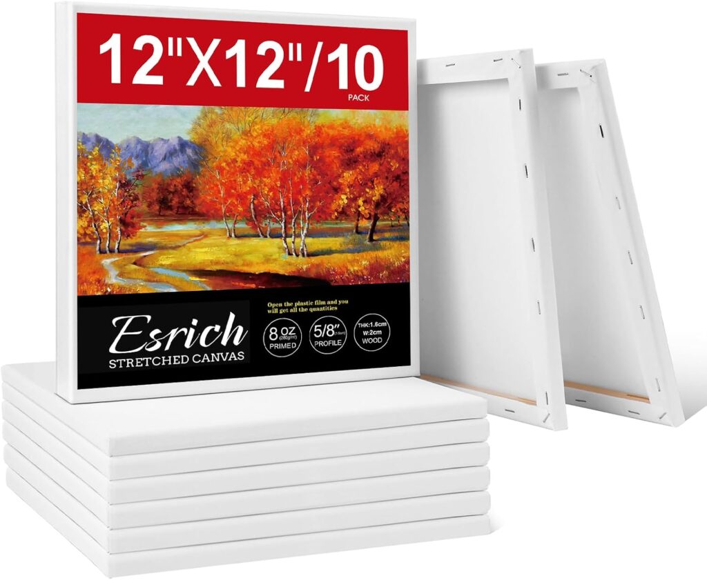 ESRICH 10-pack stretched canvas 12x12 inch primed cotton for textured art