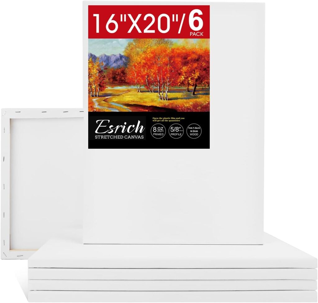 ESRICH 6-pack stretched canvas 16x20 inch for large DIY textured painting