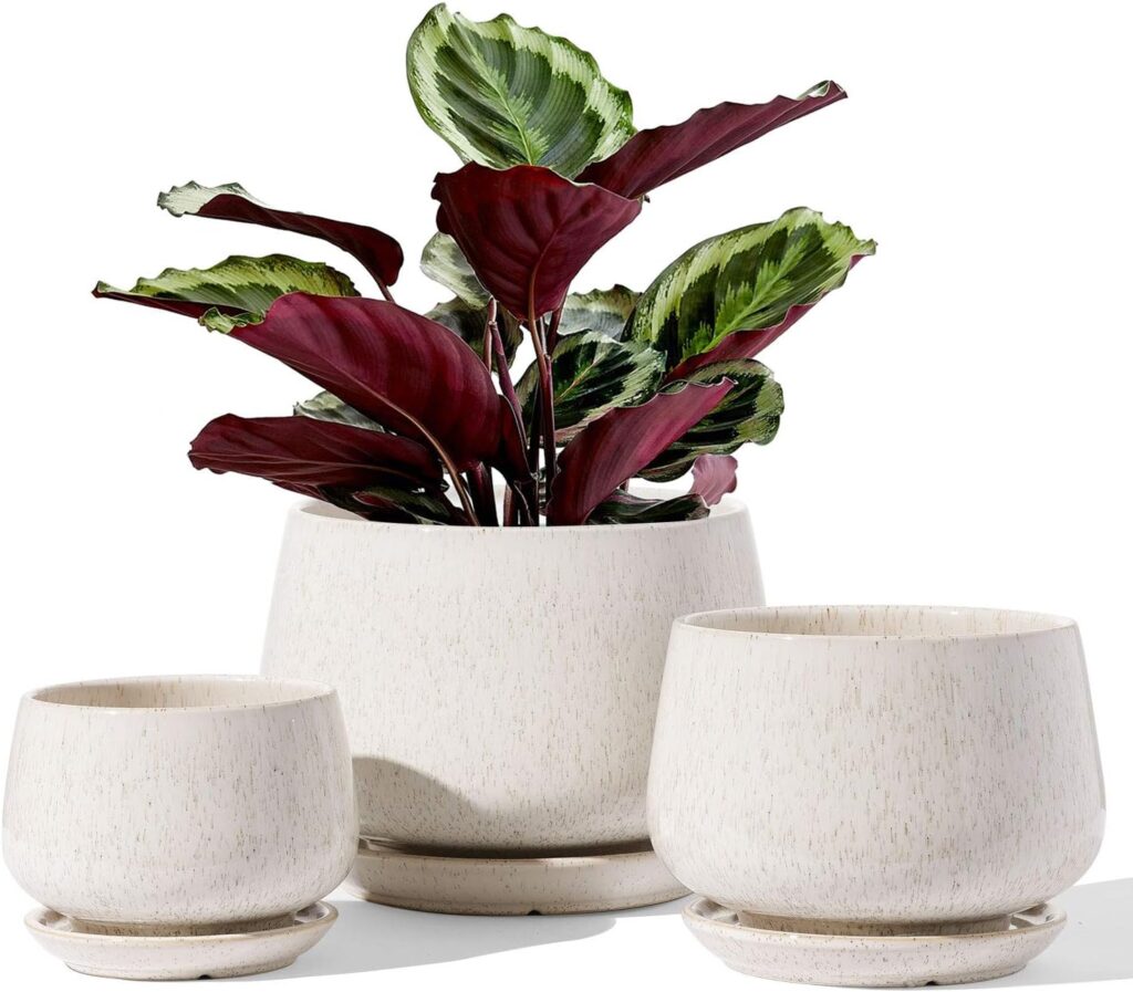 LE TAUCI ceramic planters set of 3 with drainage saucers for staircase landing