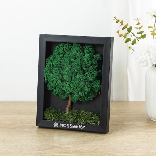 100% natural preserved moss art wall decor framed green panel for living room