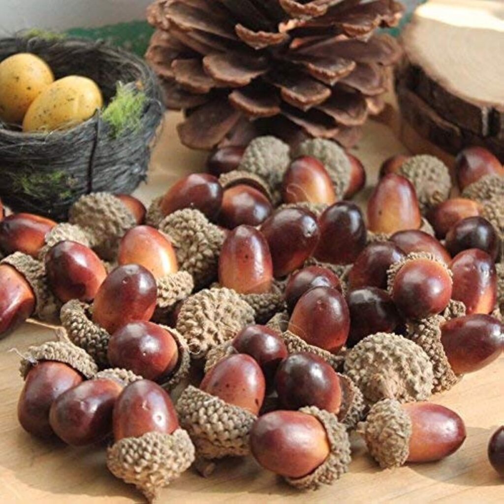 100-piece artificial acorns with natural caps for mason jar fall decor scatter display