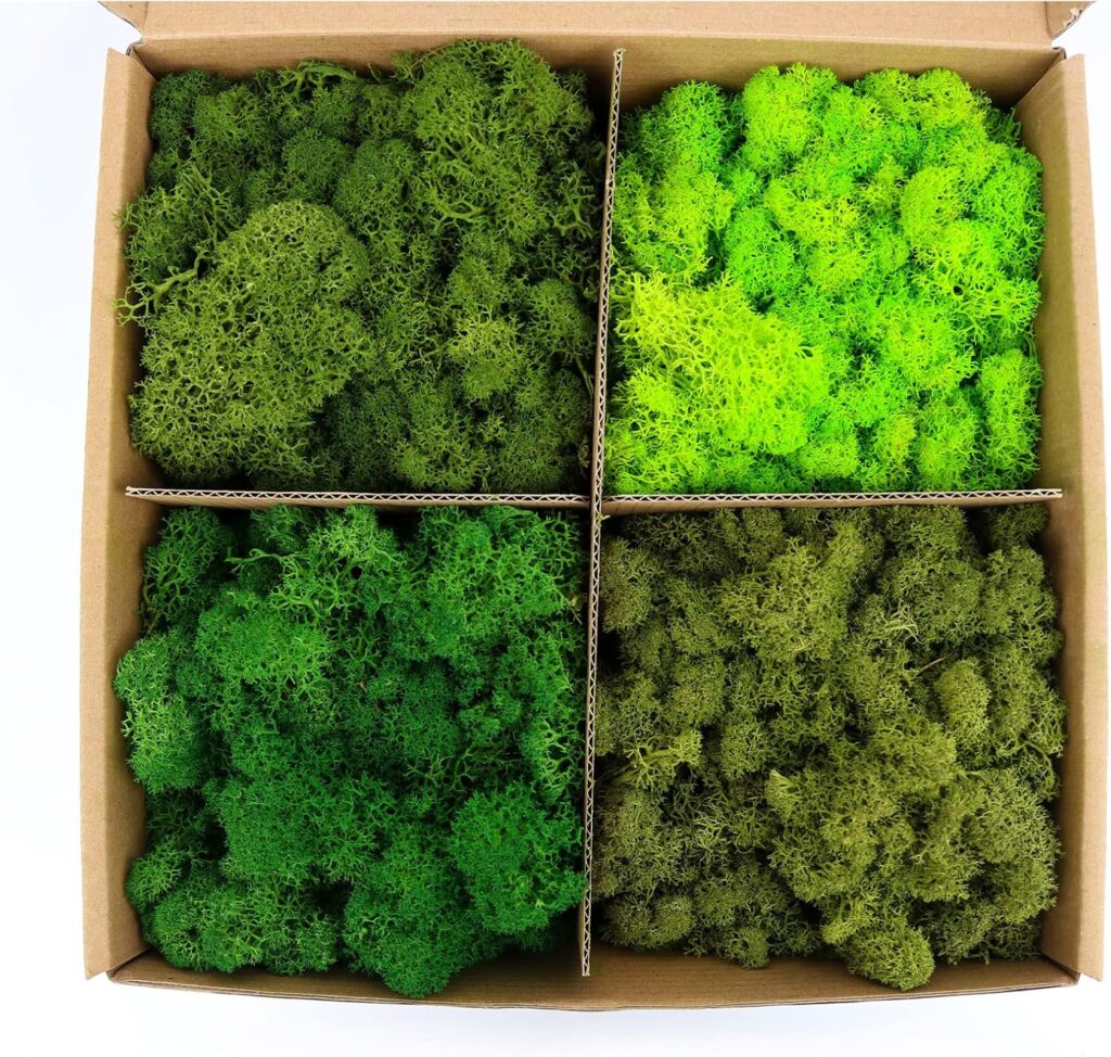 Amoueterno preserved reindeer moss 4-color mix for DIY moss wall project