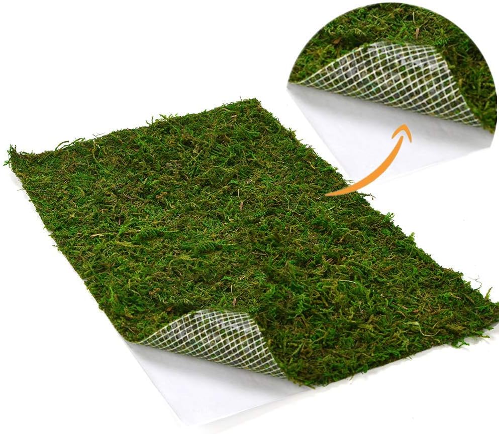 Dried moss mat dark green natural texture for DIY moss wall installation