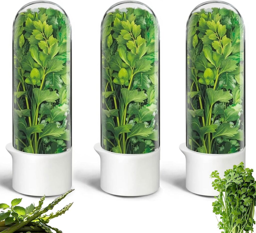 Herb saver pod for refrigerator keeps cilantro parsley and mint fresh for weeks