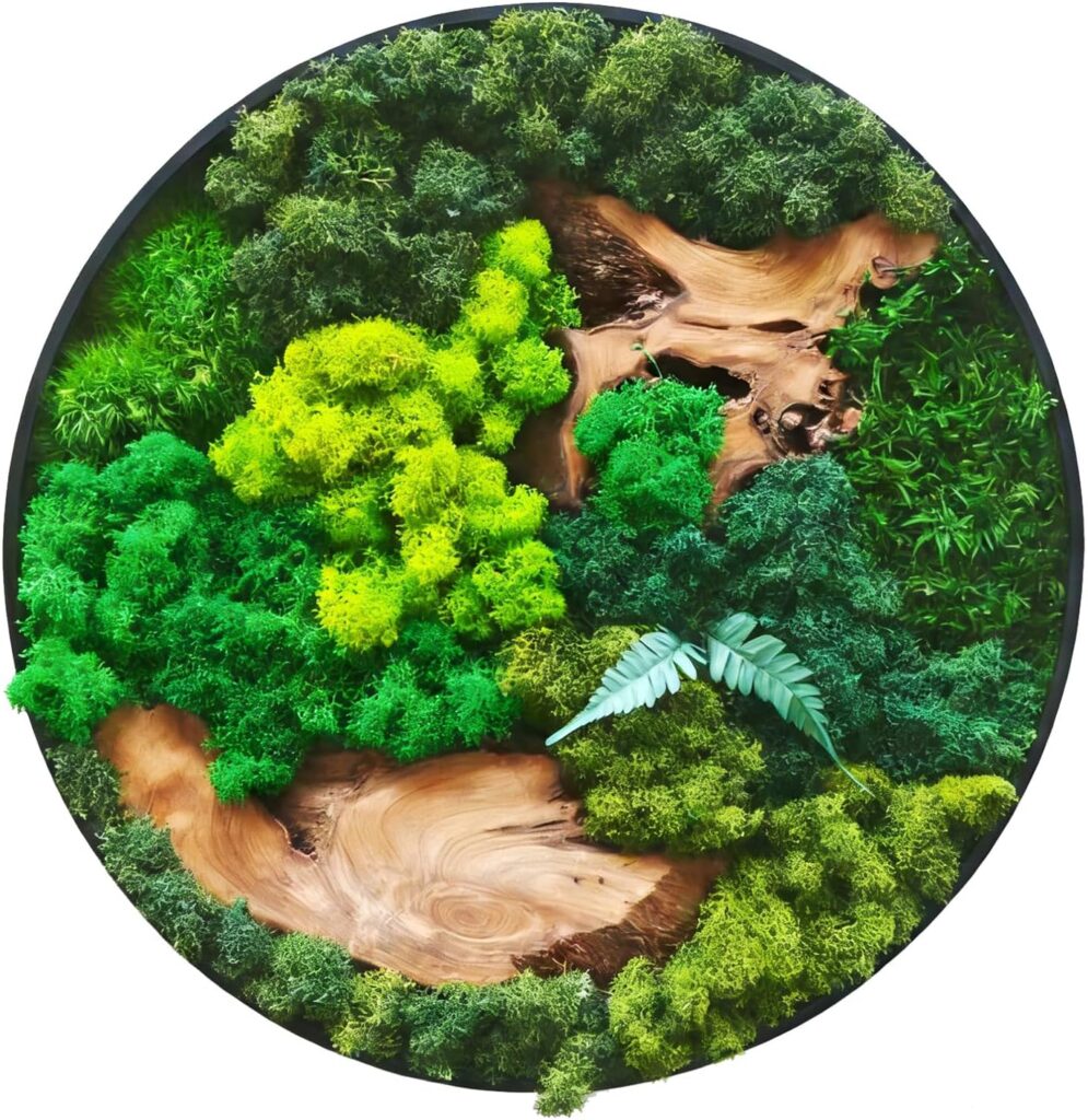 Vadmepiop natural moss wall art round wood backing rustic handcrafted panel
